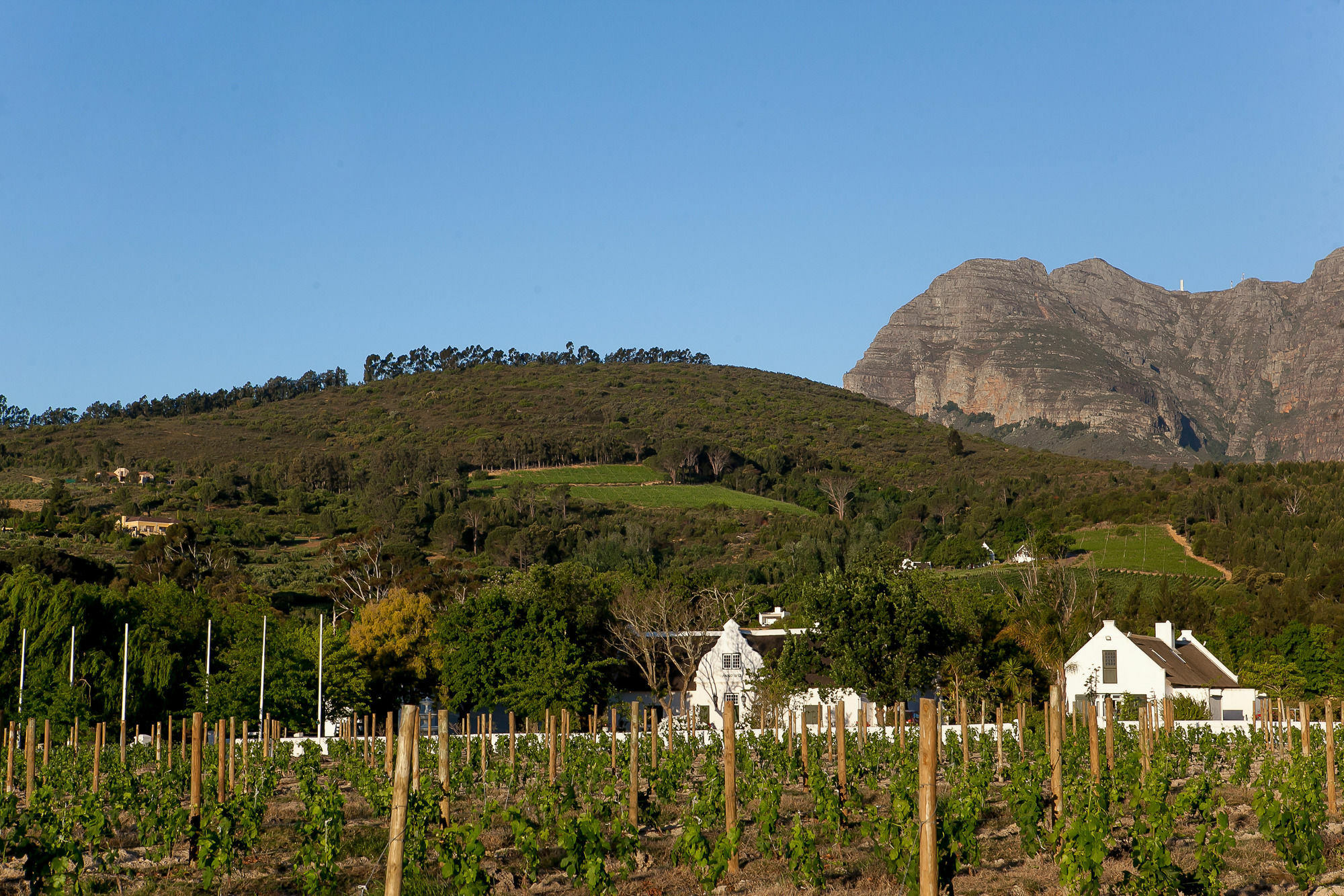 1692 De Kleijne Bos Country House Paarl Zewnętrze zdjęcie