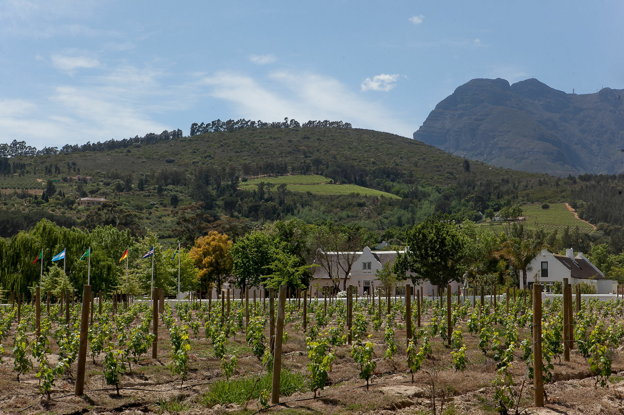 1692 De Kleijne Bos Country House Paarl Zewnętrze zdjęcie