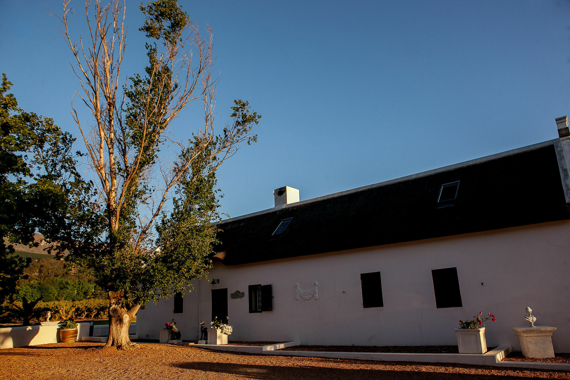 1692 De Kleijne Bos Country House Paarl Zewnętrze zdjęcie